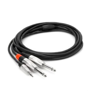 REAN 3.5 mm TRS to Dual 1/4 in TS